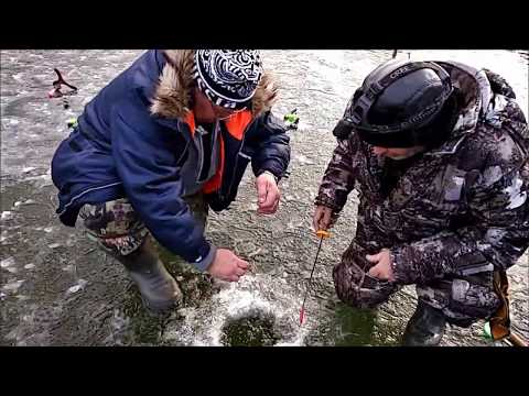 Видео: Поимки форели со льда. Клёвое место, Лосиный остров.