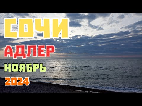 Видео: #Сочи отдых в ноябре. Адлер пляж и море. В поисках Мандаринов. 25 ноября 2024 г.