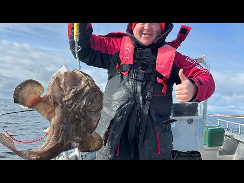 Видео: Рыбалка в Норвегии.МОРСКОЙ ЧЕРТ, КАМБАЛА, лумбы.  День восьмой. Norwey Abelvaer  Апрель 2025