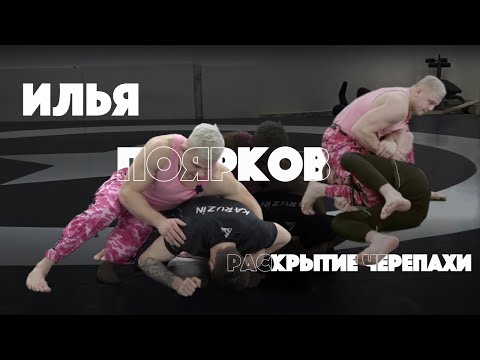 Видео: (КОРОТКО) Илья Поярков (еще раз) про раскрытие черепахи.