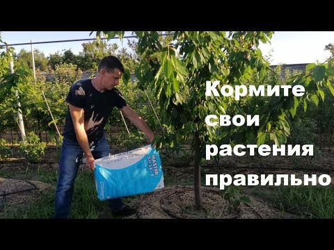 Видео: Главное правило внесения удобрений.