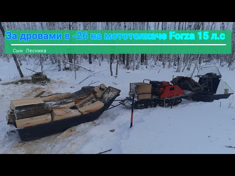 Видео: За дровами в -26 на мототолкаче Forza 15 л. с.