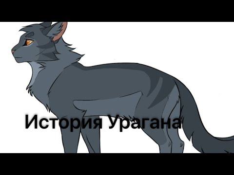 Видео: История Урагана(по просьбе Kotyvoils)/Коты-воители