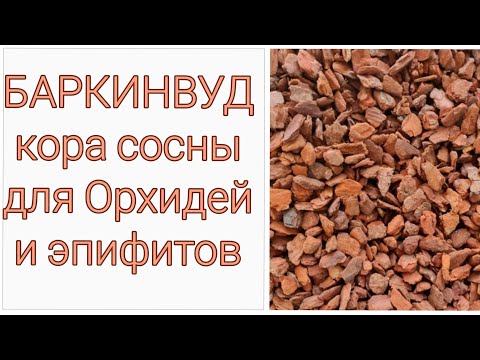 Видео: ОБЗОР | БАРКИНВУД | Кора сосны для Орхидей и эпифитов