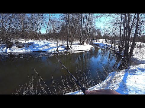 Видео: МИКРОРЕЧКА в МАРТЕ - ЛОВЛЯ ЩУКИ на спиннинг весной! ЭТУ рыбалку Я ЖДАЛ всю зиму! Щука на спиннинг.