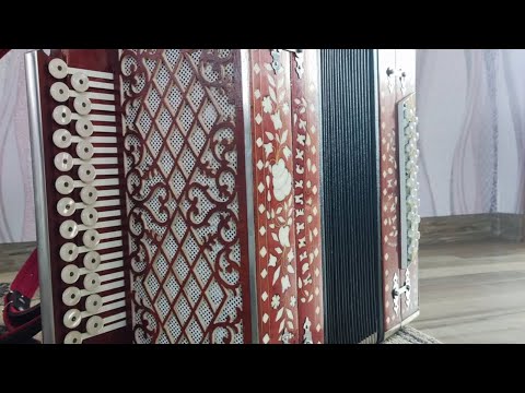 Видео: Любительская гармонь, си мажор