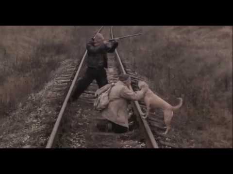 Видео: ДДТ-РАССТРЕЛЯЛИ РАССВЕТАМИ