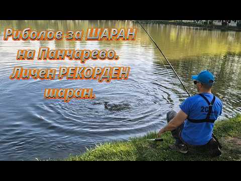 Видео: Риболов на ШАРАН на Панчарево. Личен РЕКОРДЕН шаран! CARP fishing in Pancharevo. Personal RECORD!