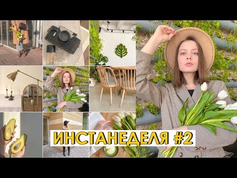 Видео: Инстаграм в одном цвете | Как создать? | Зелёный инстаграм