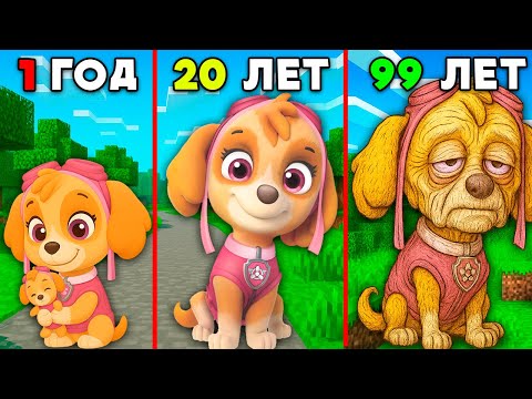 Видео: СКАЙ ЩЕНЯЧИЙ ПАТРУЛЬ СТАЛА СТАРОЙ БАБУШКОЙ В МАЙНКРАФТЕ