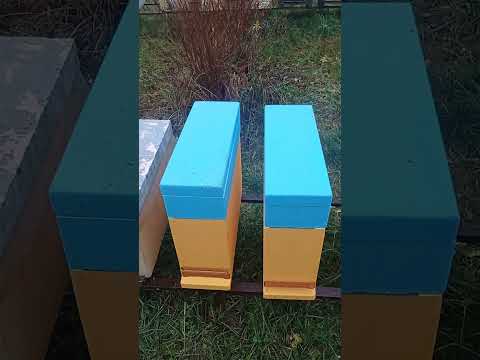 Видео: Отводки в Ноябре! Почему? Какие плюсы ? Отвечаю на комментарии предыдущих видео. 