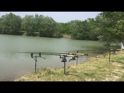 Видео: Рыбалка. Суворовка 20 мая 2023 года «Лесные озёра»