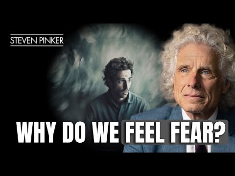 Видео: Что эволюция открывает о поведении человека