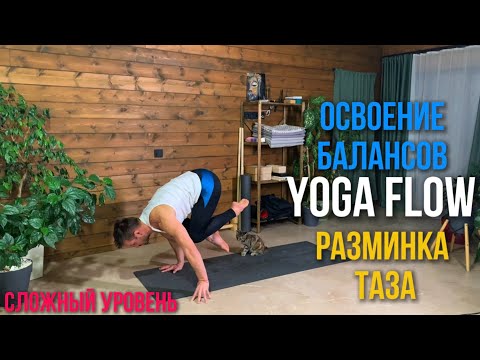 Видео: Изучаем баланс + раскрытие таза