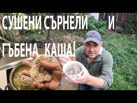 Видео: ГЪБЕНА КАША СЪС СУШЕНИ СЪРНЕЛИ mushroom porridge #mushroom #forageharvest #nature #гъби #forage