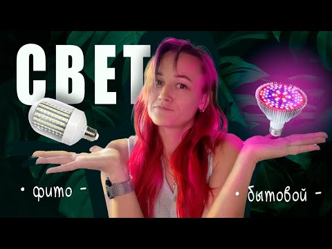 Видео: Нужна ли ПОДСВЕТКА для растений? / ФИТО-лампы или БЫТОВЫЕ — как выбрать?