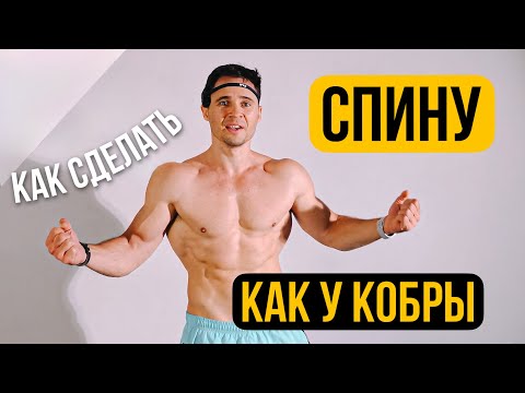 Видео: Широкая Спина как у Кобры: Лучшие Упражнения