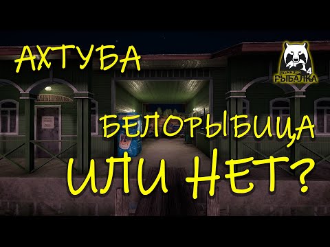 Видео: Русская рыбалка 4 рр4 Ахтуба За белорыбицей