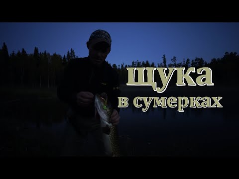 Видео: ПОЙМАЛ КРУПНУЮ ЩУКУ. ПОХОД. УХА НА КОСТРЕ. РЫБАЛКА.