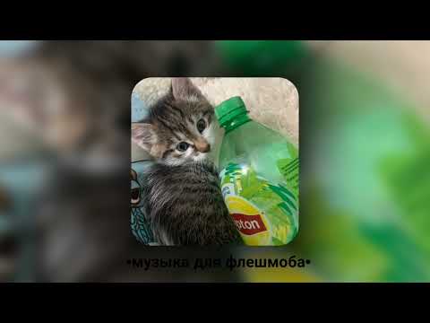 Видео: •музыка для флешмоба•