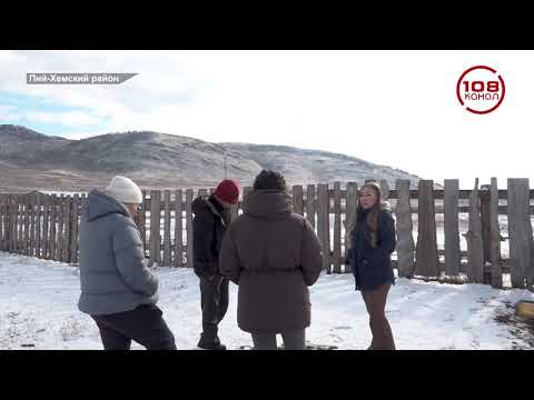 Видео: Конфликт вокруг штрафстоянки для животных