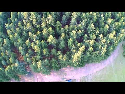 Видео: 29 октомври 2025 г.