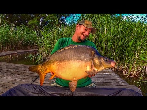 Видео: Осенью на рыбалку с ночевкой | ловля мощных карпов на манку | HD