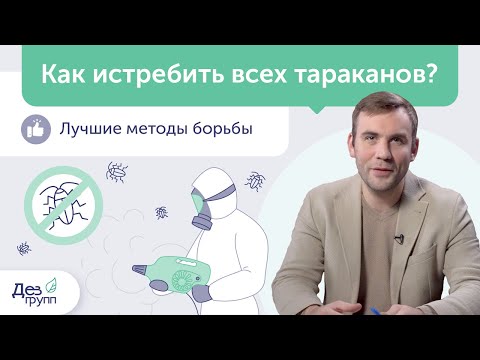 Видео: Уничтожение тараканов: как истребить? Грамотная обработка от тараканов | Дезинсекция | Дезинфекция