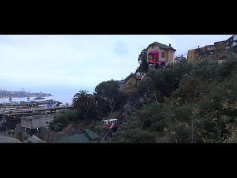 Видео: Прогулка вдоль побережья  02 11 2025