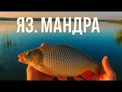 Видео: ТРИ ПЪТИ СКЪСАХ 😥 ШАРАНЧЕТА НА МЕТОД ФИДЕР 