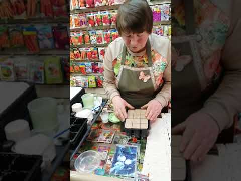 Видео: От редиски до капусты все я сею в январе. Продолжение... (2 часть)