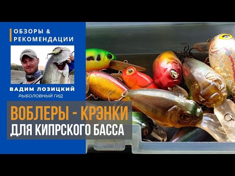 Видео: 💯 Воблеры-крэнки (cranks) для ловли басса. 💥 Рыбалка на Кипре 🇨🇾 Советы и рекомендации