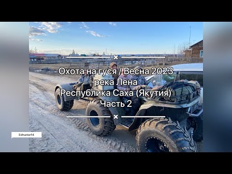 Видео: Охота на гуся весна 2023 / Goose hunting spring in Sakha Yakutia / Охота без преувеличений / Часть 2