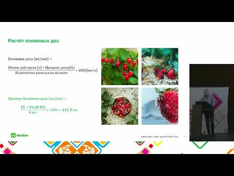 Видео: 14 Земляника на каменной вате Grodan   это легко – Данил Долгуша и Илья Патиев