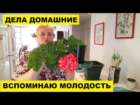 Видео: ДЕЛА ДОМАШНИЕ....ВСПОМИНАЮ СОВЕТСКУЮ МОЛОДОСТЬ