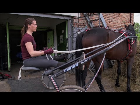 Видео: Наездница