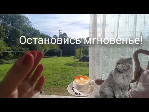 Видео: Хочу локдаун! Погода в октябре во Франции.