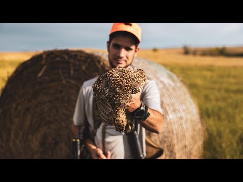 Видео: Встреча с гремучей змеёй! Острохвосты и гунны — Монтана 2025 — Часть 1