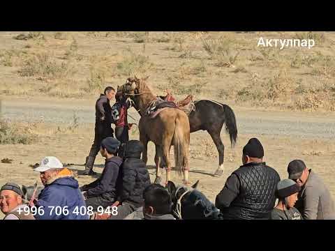 Видео: 9 ноября 2025 г.