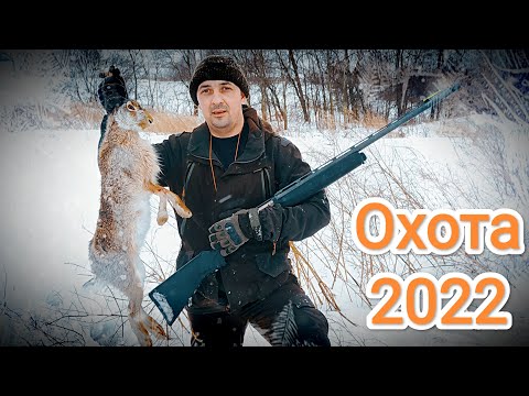 Видео: Охота на зайца с курцхааром!