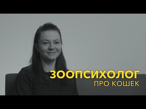 Видео: Зоопсихолог про кошек