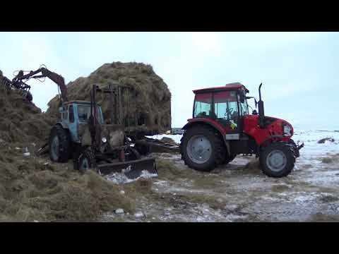 Видео: МТЗ 892.2 МТЗ 1523. МТЗ 1221. Возим сено по домам!(Сезон 2019)