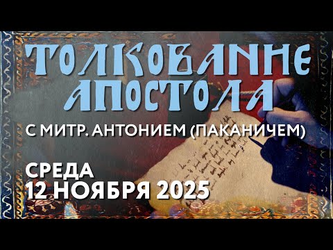 Видео: Среда, 12 ноября 2025 года. Толкование Апостола с митр. Антонием (Паканичем).