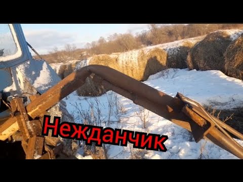Видео: Пришла беда откуда и не ждали вилы попалам
