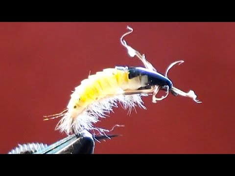 Видео: Мушка для ловли хариуса и ленка, еще один вариант