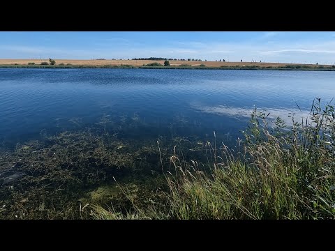 Видео: На разведку по Карповым прудам. Выбираем Пруд для рыбалки