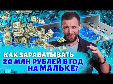 Видео: Пошаговый БИЗНЕС ПЛАН МАЛЬКОВОЙ ФЕРМЫ УЗВ на 1 МИЛЛИОН ШТУК В ГОД | Трудно ли ЗАРАБОТАТЬ В НИШЕ УЗВ?