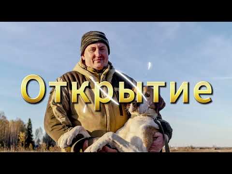 Видео: Открытие Охоты с Русской пегой на зайца беляка. 2024 - 25 год.