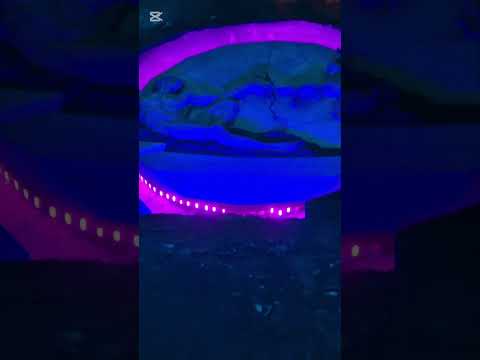 Видео: ДЭЛХИЙН ХАМГИЙН ТОМ ГАЗАР ДООРХ ЗАГАЛМАЙ #saltcathedralzipaquira #colombia #ayushbate