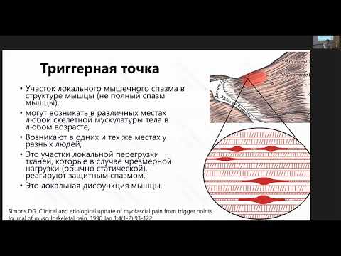 Видео: Шмонин А.А. Патофизиология в двигательной реабилитации